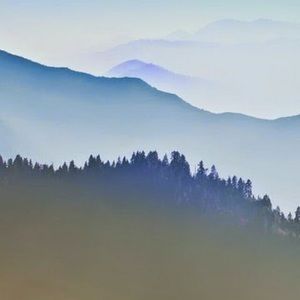 Meet your Posher, Jack